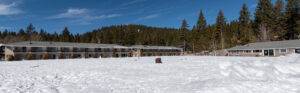 Tahoe Sands Resort lakeside courtyard covered in snow